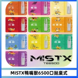 MISTX TE鴨嘴獸6500 Puffs抛棄式一次性抛棄式電子煙