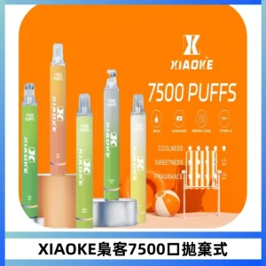 XIAOKE梟客7500Puffs跑馬燈拋棄式電子煙 可發光一次性